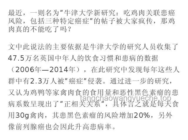 鸭子吃浮漂行为的生态观察与行为学解析